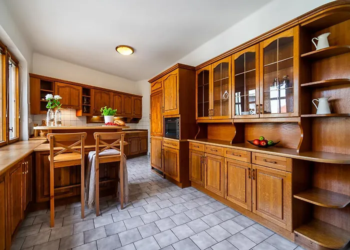 U Vlasskeho Dvora شقة